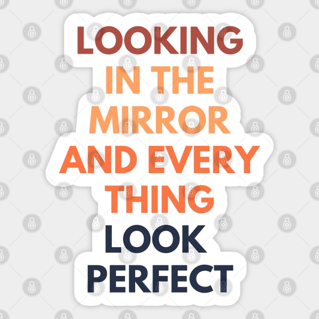 Looking In The Mirror And Everything Looks Perfect Sticker by Aanmah Shop